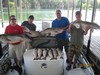 (08/01/2015) - Nice Striped Bass